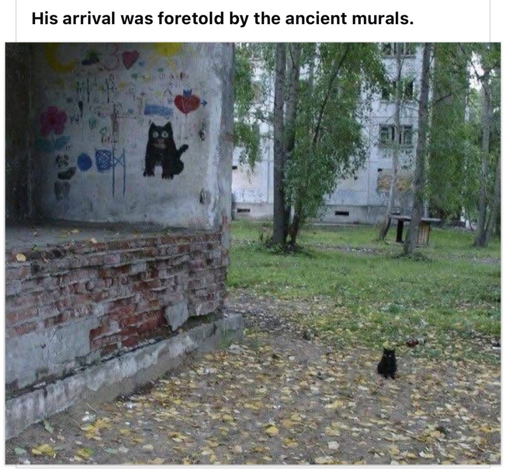 A mural of a black cat foretells his coming